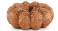 Orange Scalloped Wood Chip Pumpkins