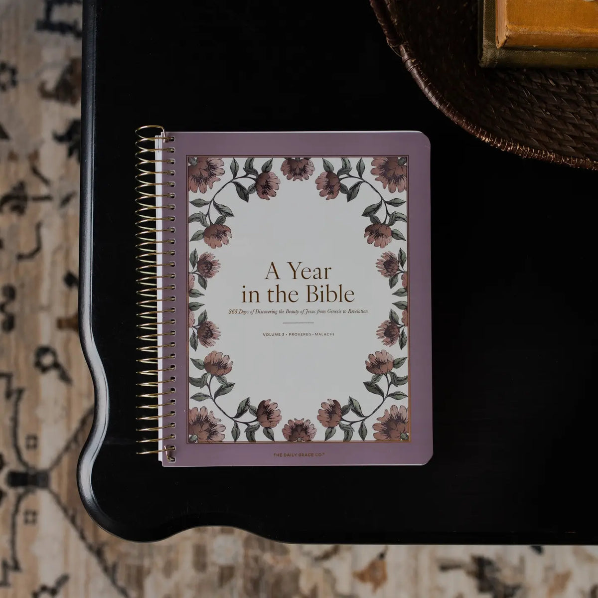 A Year In The Bible- Volume 3 Bible Study