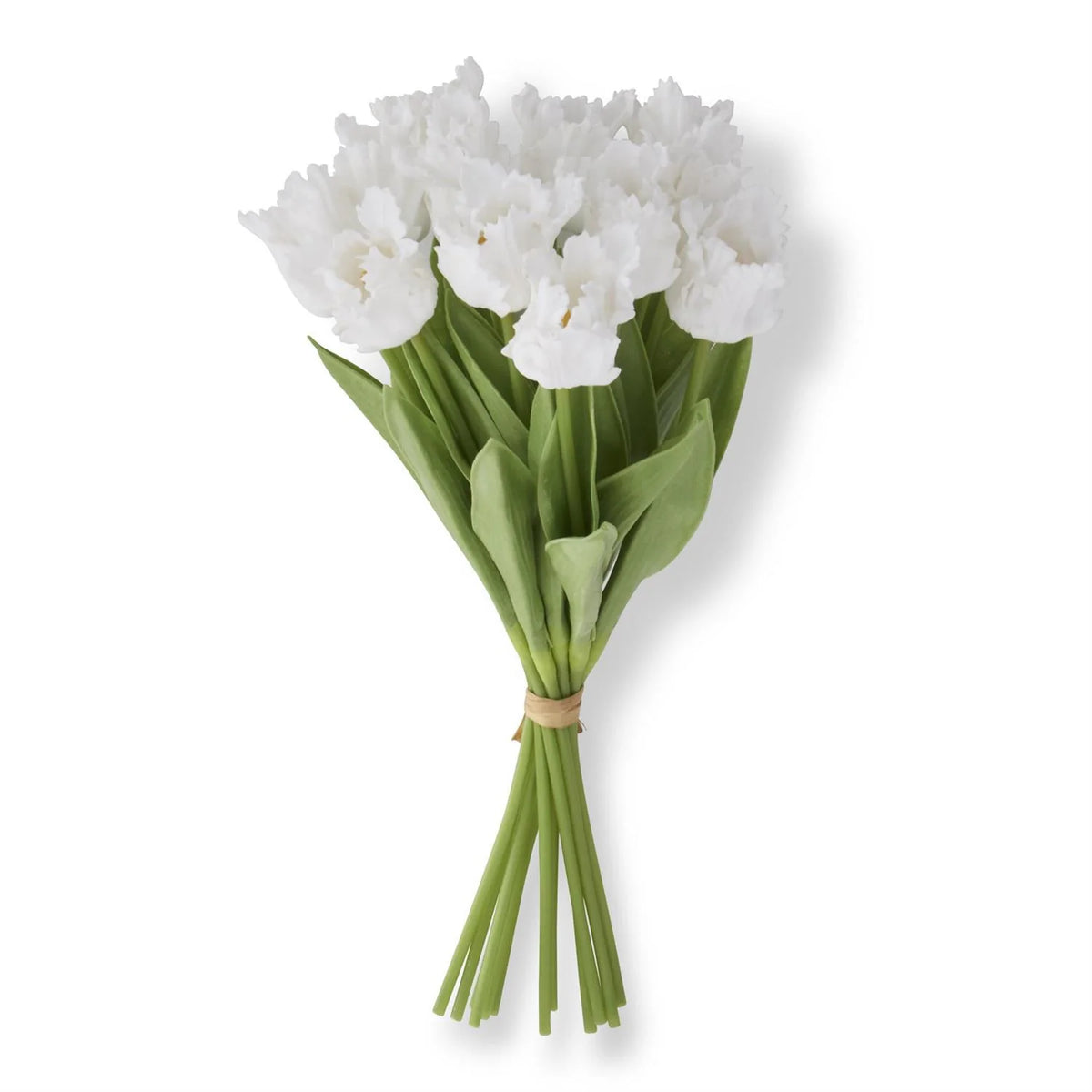 White Real Touch Parrot Tulip Bundle (12 Stems)- 13"