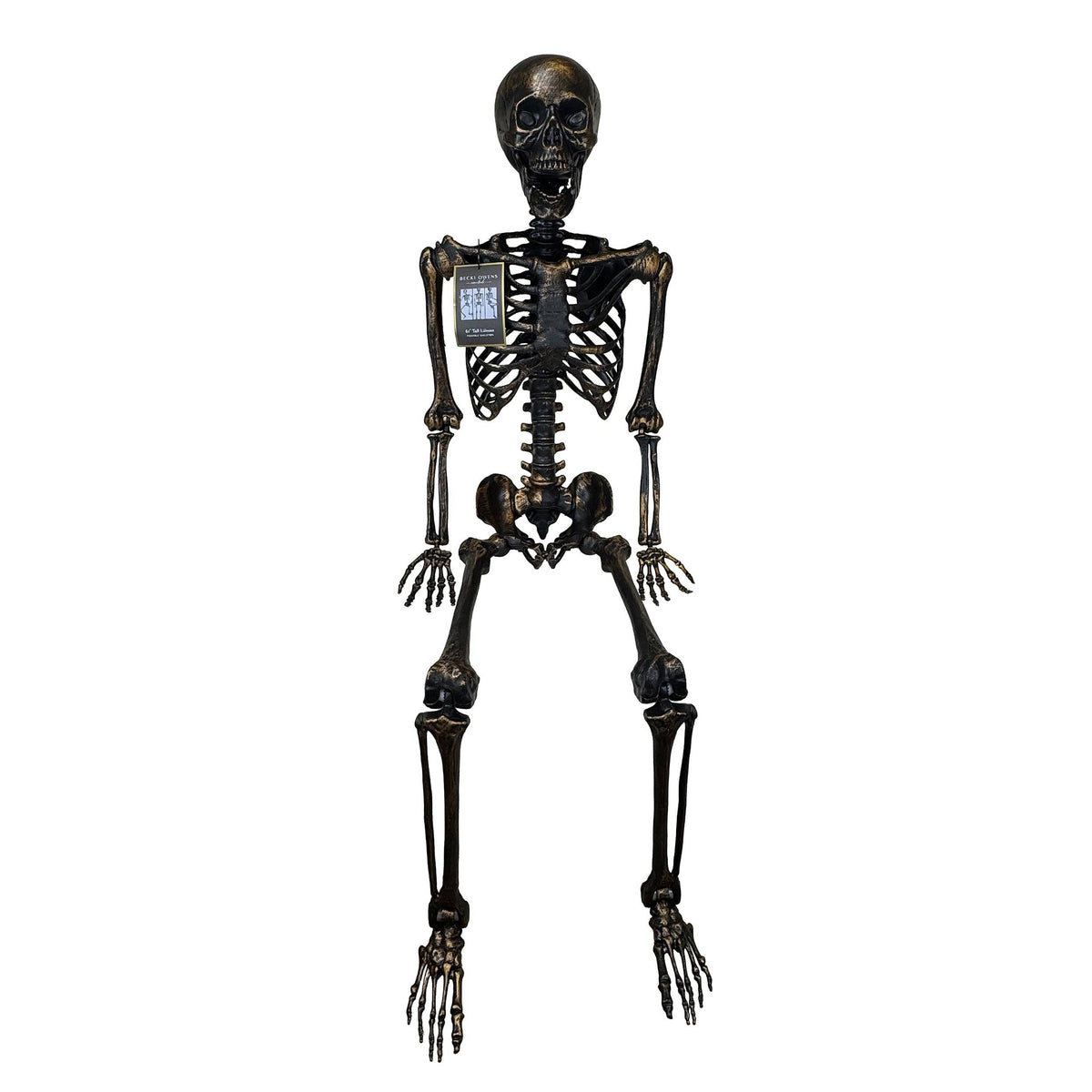 Brass-Color Life-Size Posable Skeleton