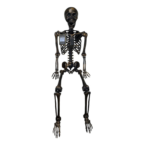Brass-Color Life-Size Posable Skeleton