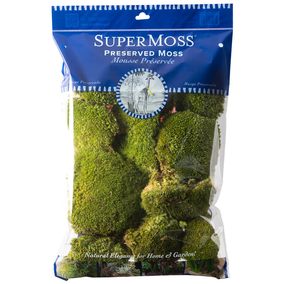 Preserved Topa Moss