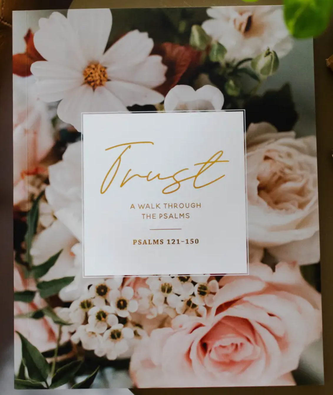 Trust Bible Study