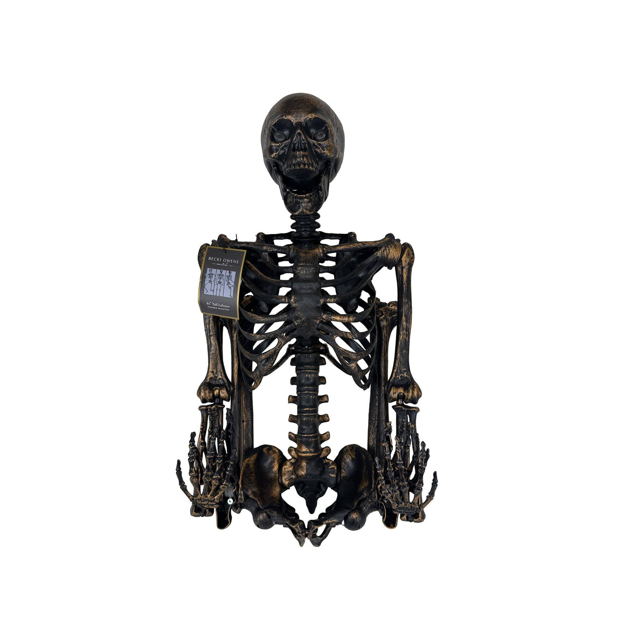 Brass-Color Life-Size Posable Skeleton