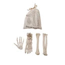 Resin Bag of Bones Set of 4 Printed Drawstring Bag