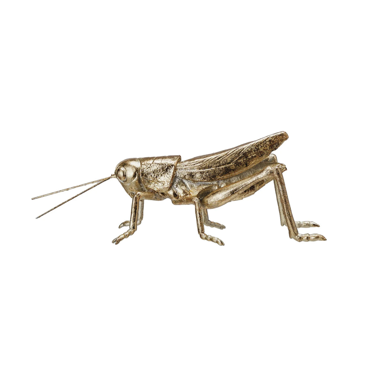 Resin & Metal Grasshopper- Gold Finish