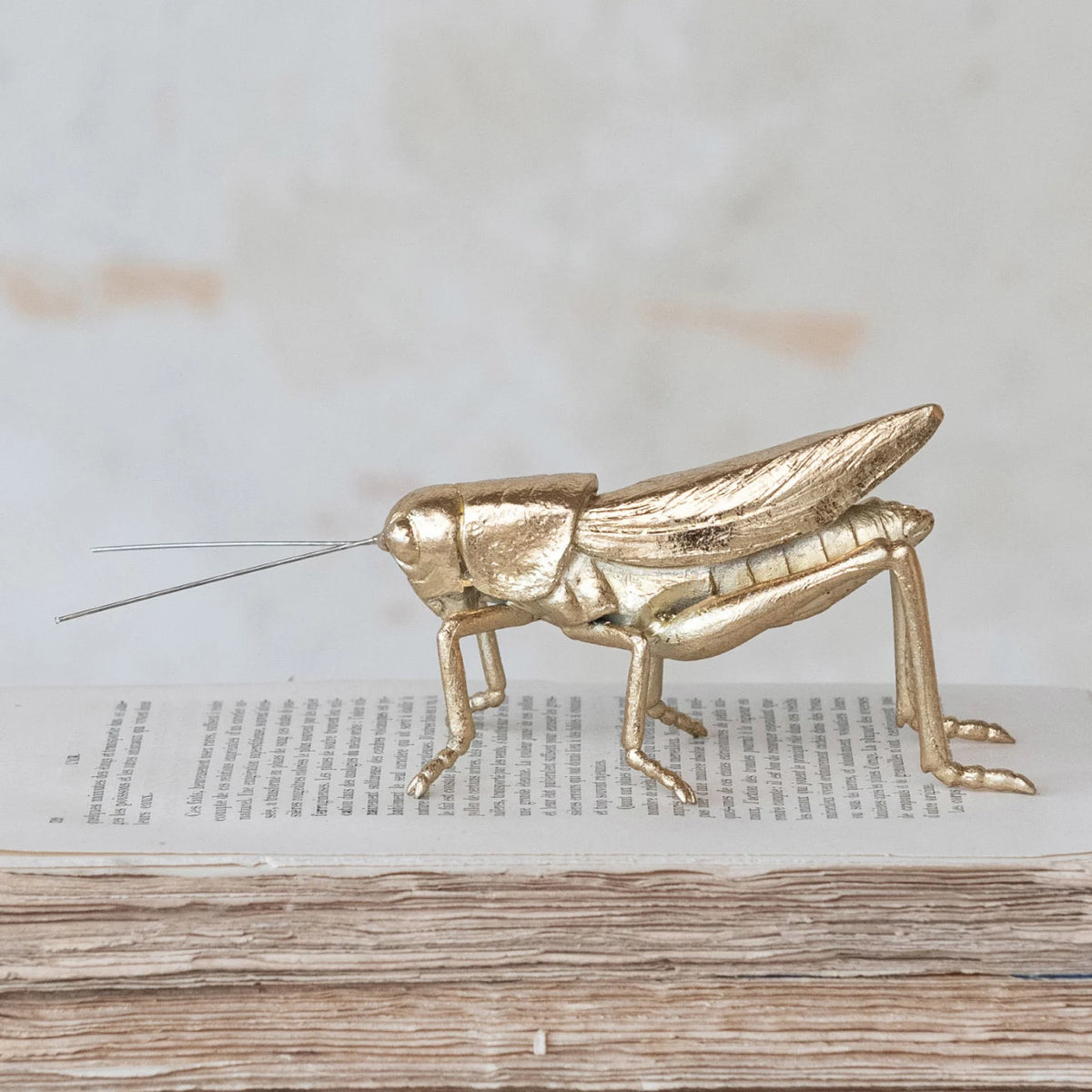 Resin & Metal Grasshopper- Gold Finish