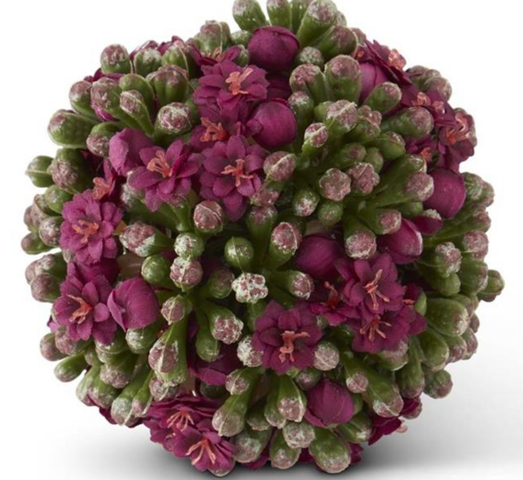Kalanchoe Ball
