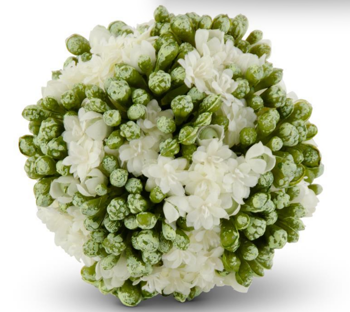 Kalanchoe Ball